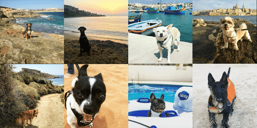 Multifaceted Malta: Our Favorite Instagram Profiles from ‘The Rock’ 9 book2sail-4