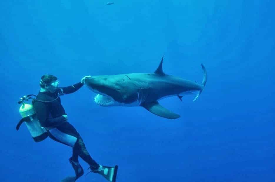 Bucket List of Boating 5 book2sail-diving