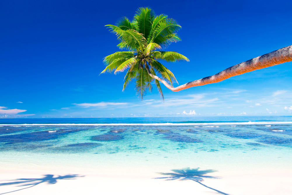 Top 10 Locations for Yacht Charter in the Caribbean and Why